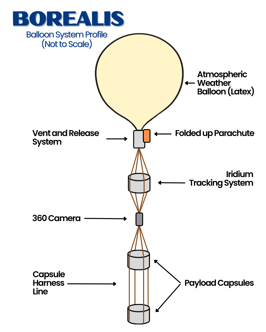 2024 Payload System Diagram. The top is the balloon, with the vent and parachute attached below. Then there are harness cords that connect to the payloads below.