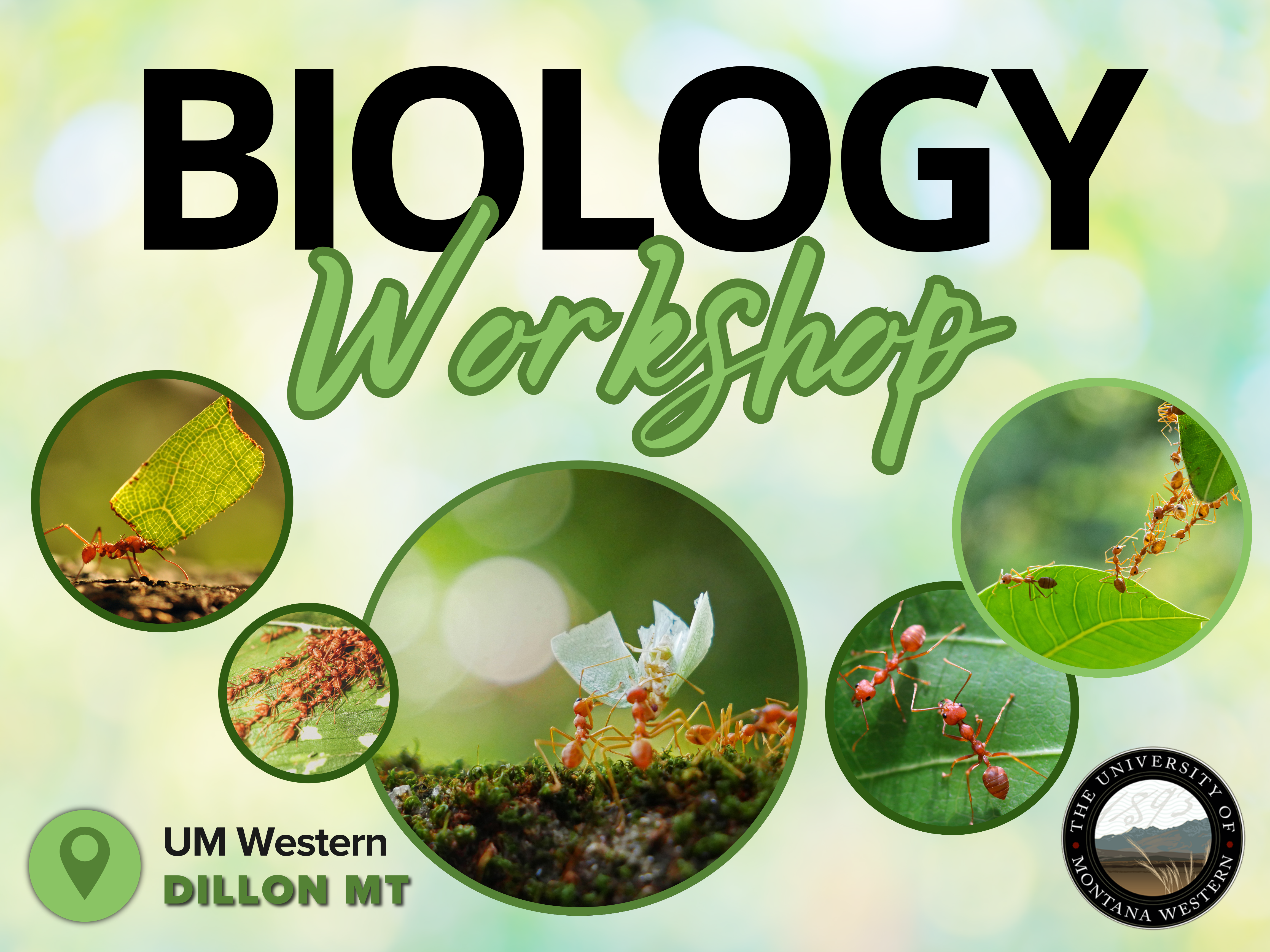 Biology Workshop at UM Western