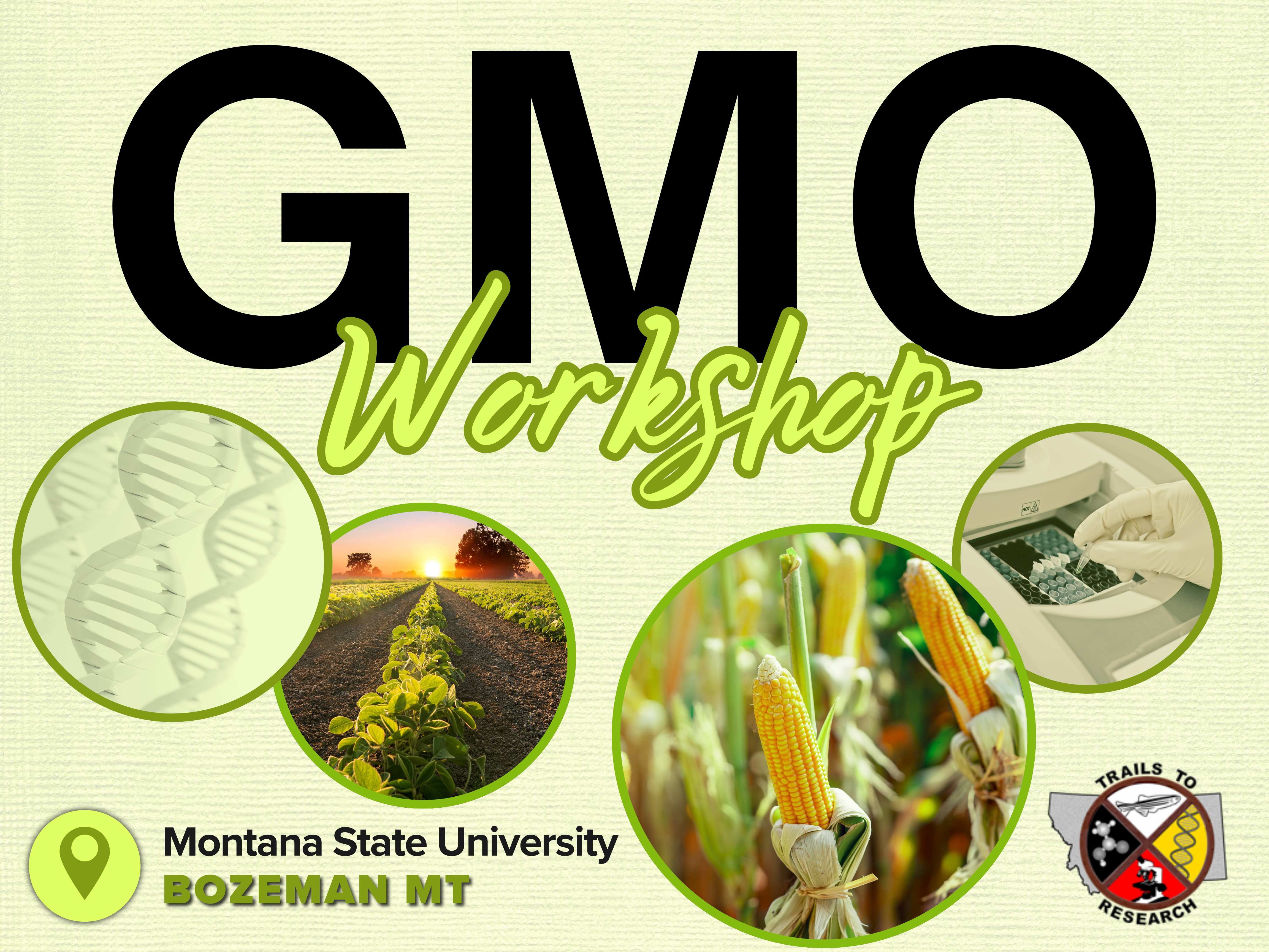 GMO detective