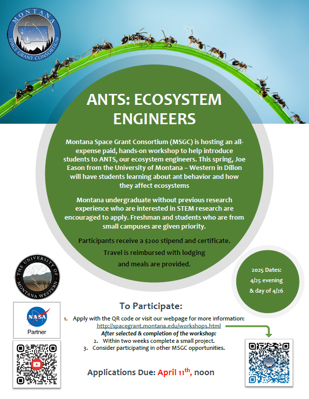 2025 Ants Flier